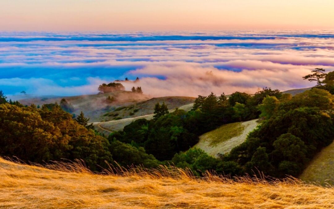 These Scenic California Campground Now Requires Visitors To Enter A Lottery To Book